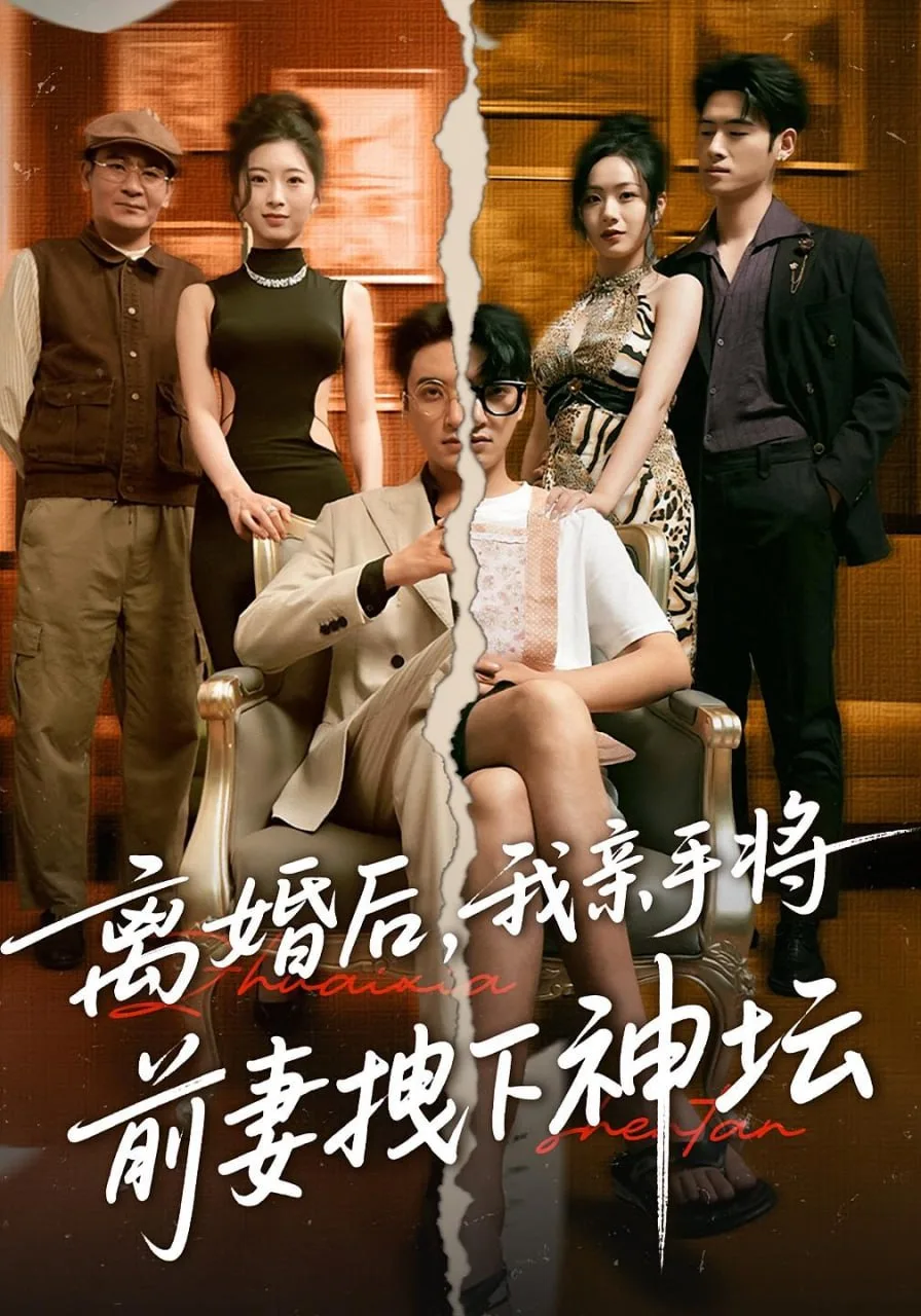 离婚后我亲手将前妻拽下神坛海报