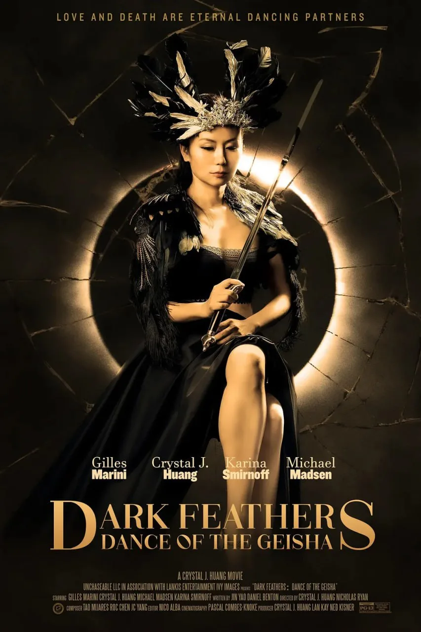 暗翎之舞 Dark Feathers海报