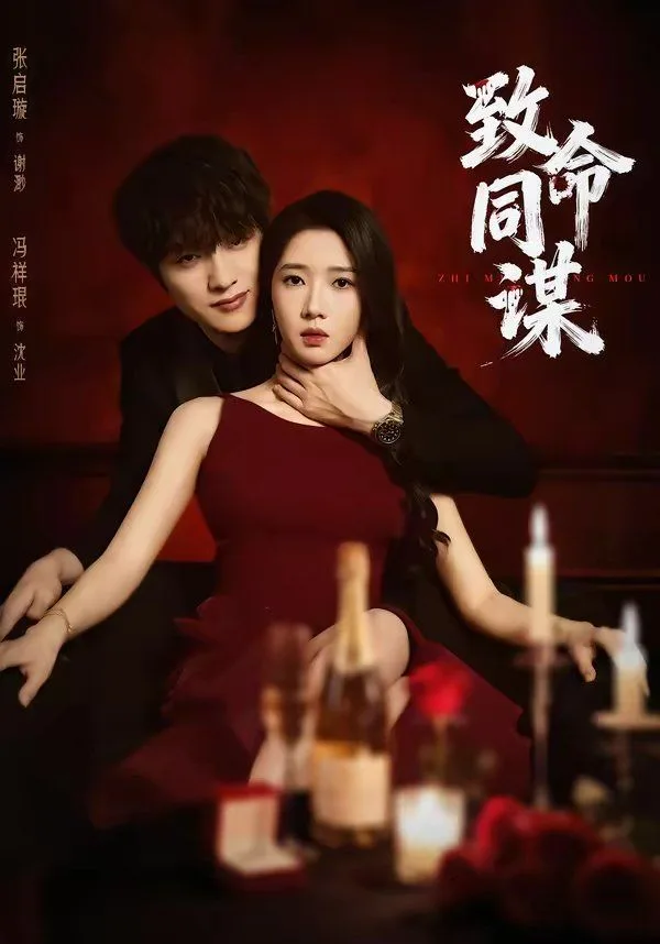 致命同谋海报