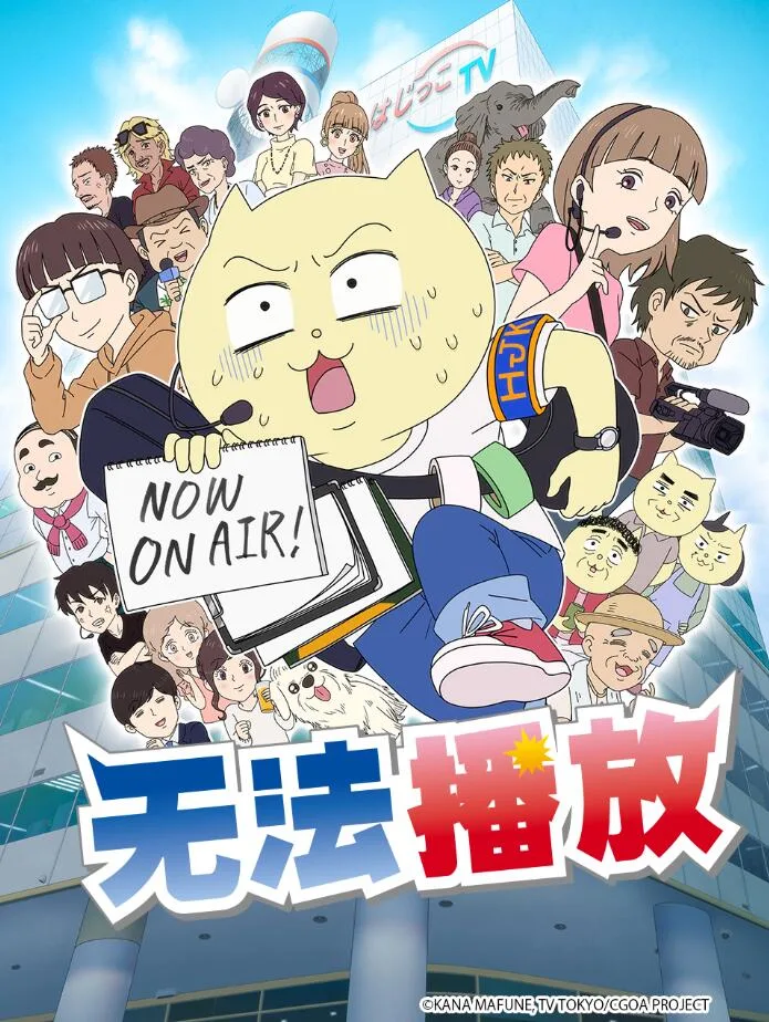 不能播放海报