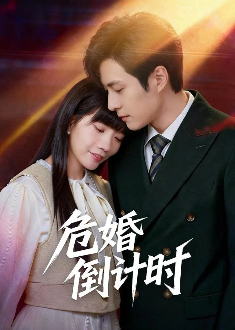 危婚倒计时海报