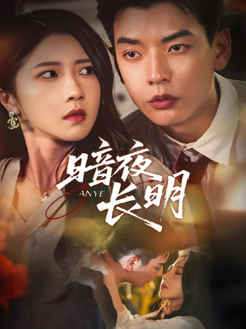 暗夜长明海报