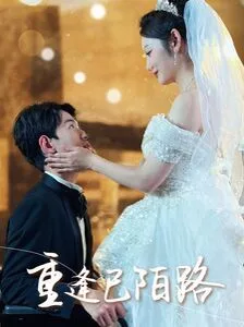 重逢已陌路（林千金她装不下去了）（她如月光碎向星夜）海报