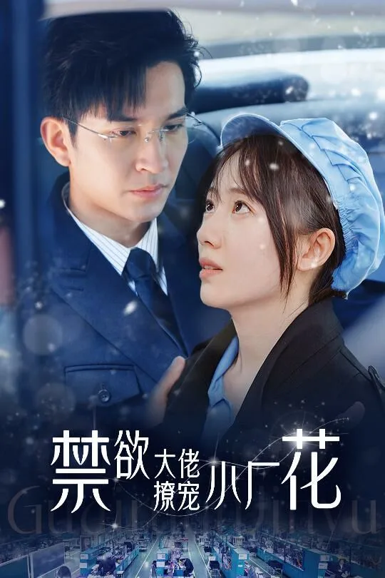 禁欲大佬撩宠小厂花（小可怜靠生子宠冠电子厂）海报