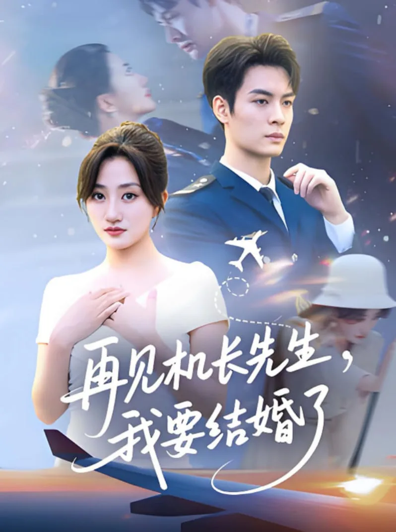 再见机长先生我要结婚了（再见机长先生，我要结婚了）海报