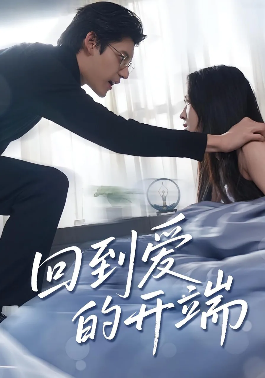 回到爱的开端海报