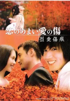 烈爱伤痕海报