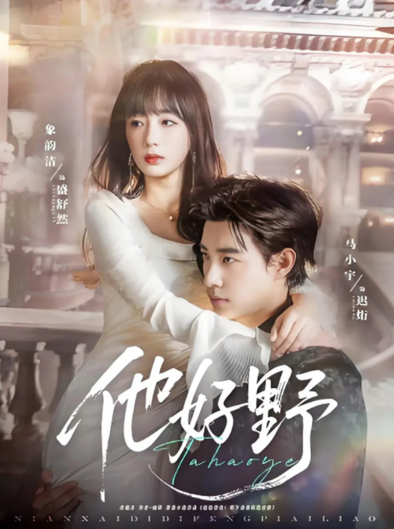 他好野海报