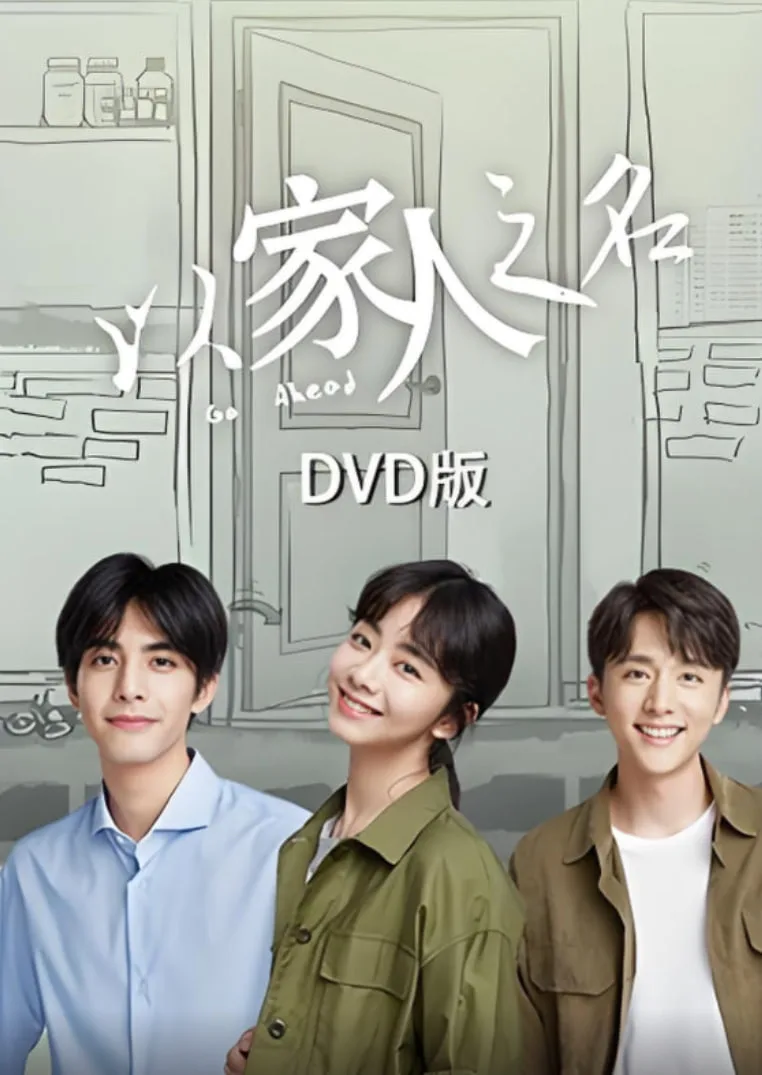 以家人之名 DVD版海报