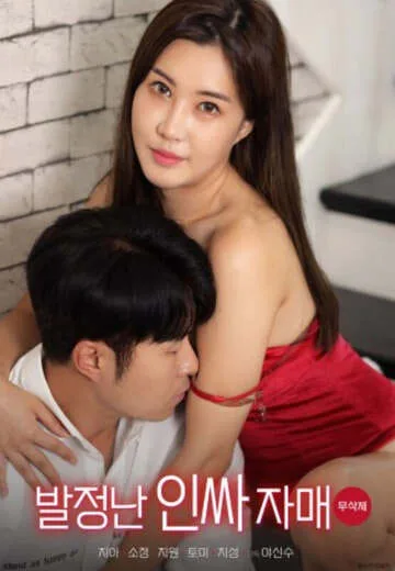 超级女护士的发情日记海报