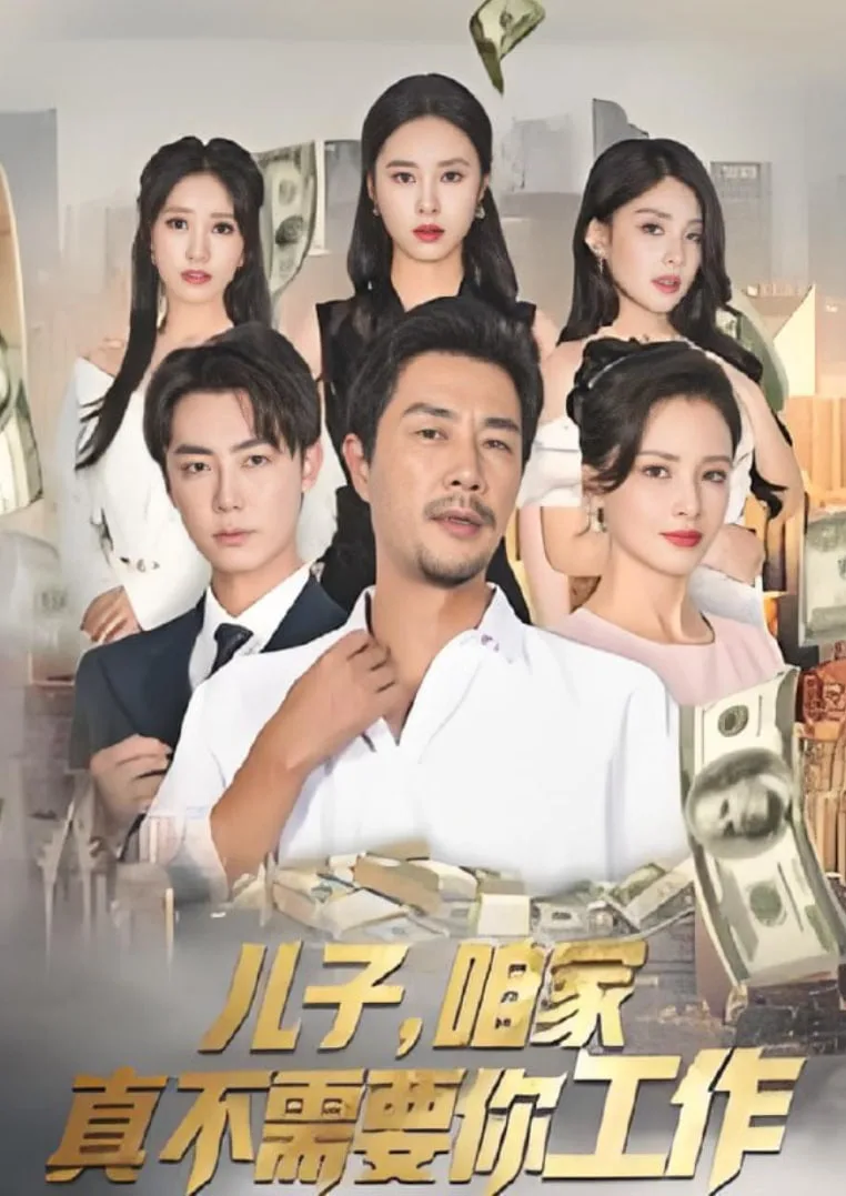 儿子，咱家真不需要你工作海报