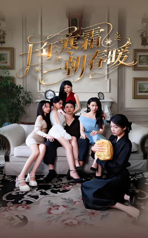 十年寒霜一朝春暖海报
