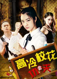 高冷校花会功夫海报