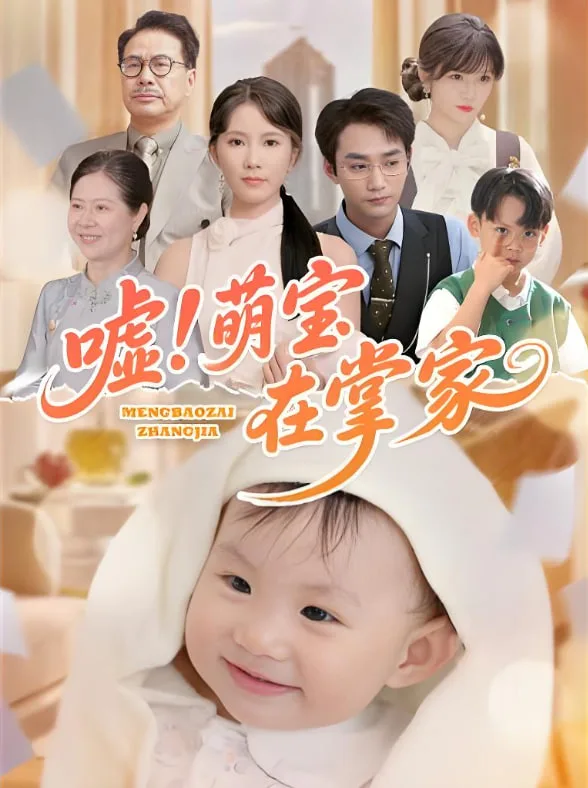 嘘！萌宝在掌家海报
