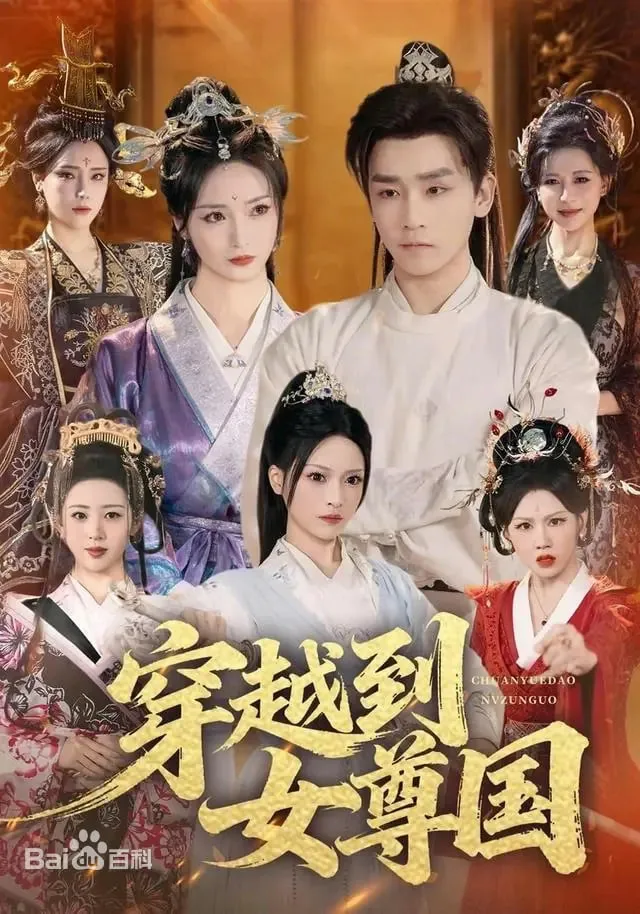 穿越到女尊国海报