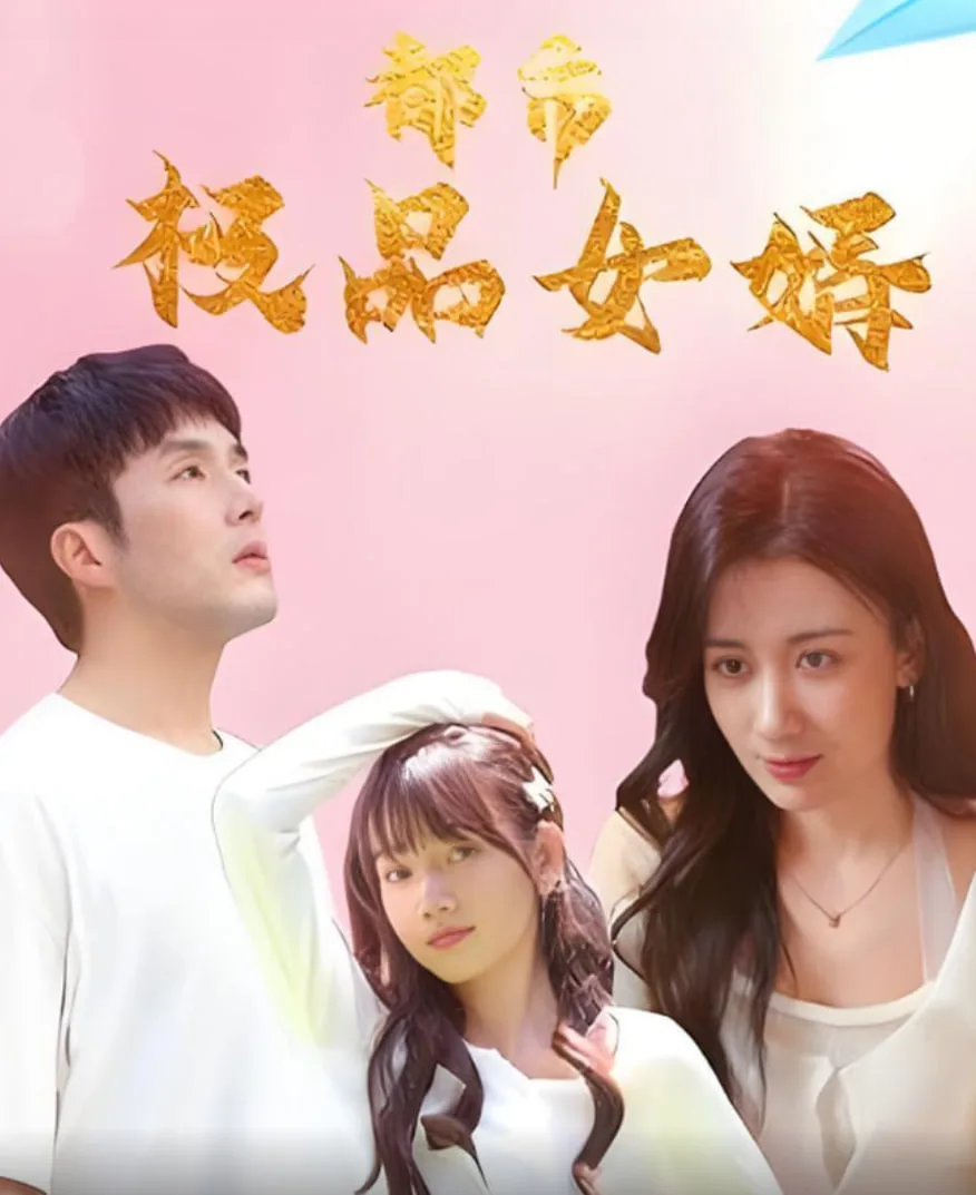 都市极品女婿（都市逍遥女婿）海报
