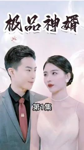 极品神婿海报