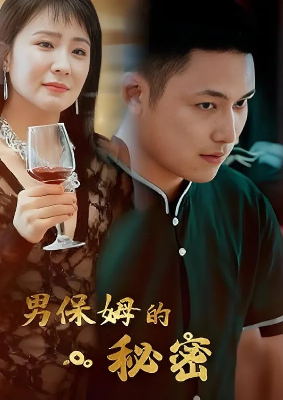 男保姆的秘密海报