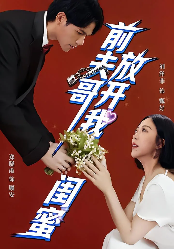 前夫哥，放开我闺蜜海报