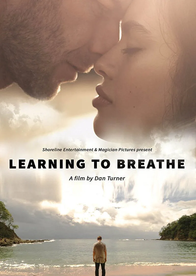 又见初恋海报