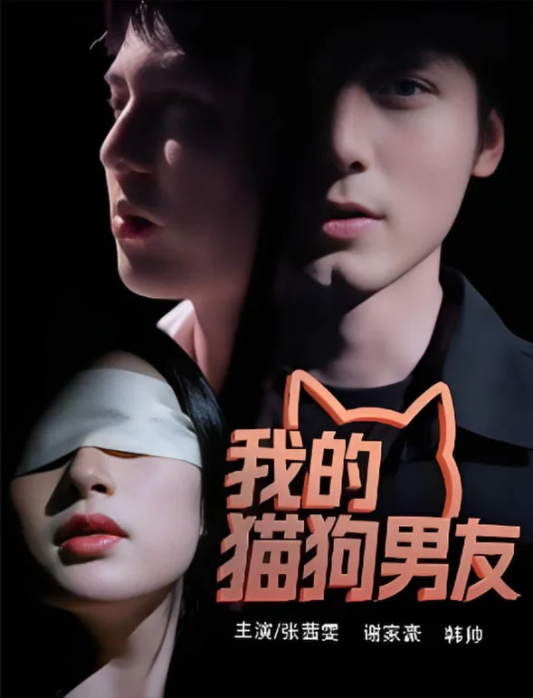 我的猫狗男友海报
