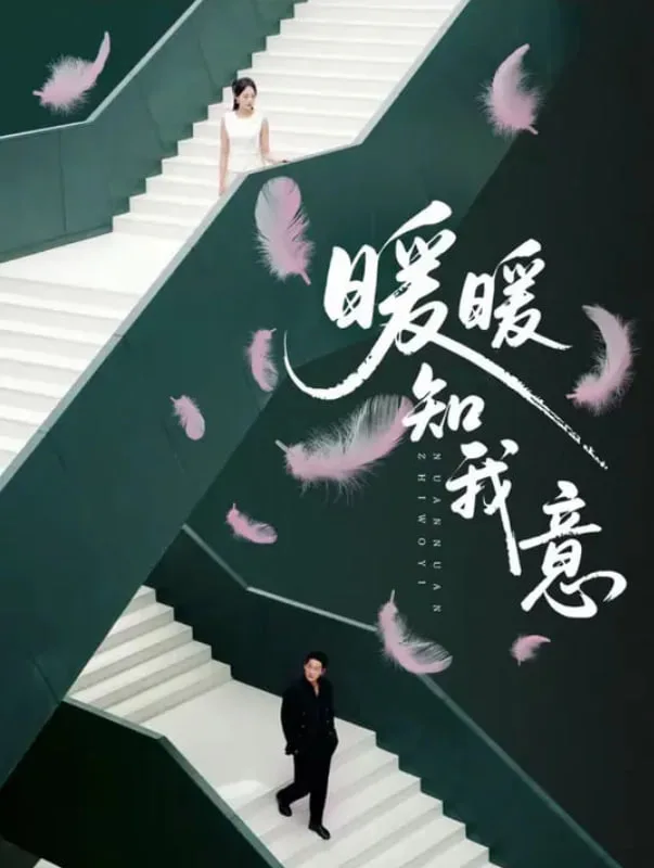 暖暖知我意海报