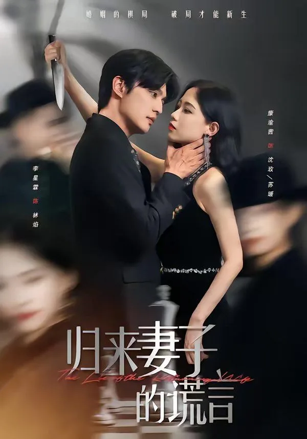 归来妻子的谎言海报
