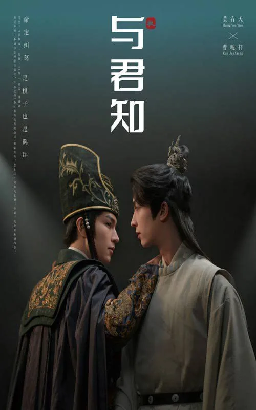 与君知海报