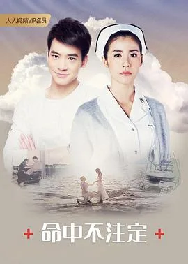 命中不注定普通话版海报