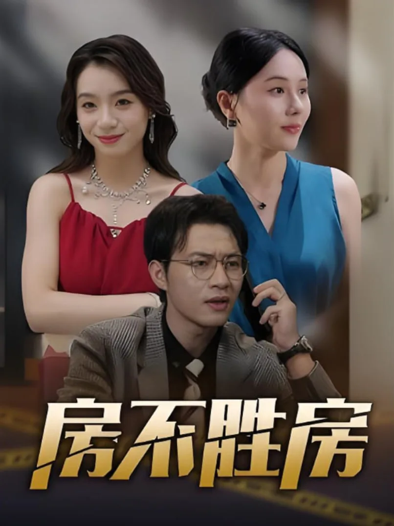 房不胜房海报