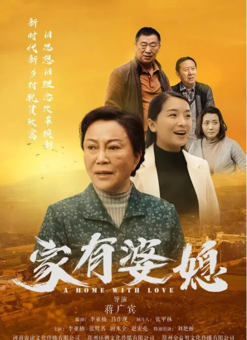 家有婆媳海报