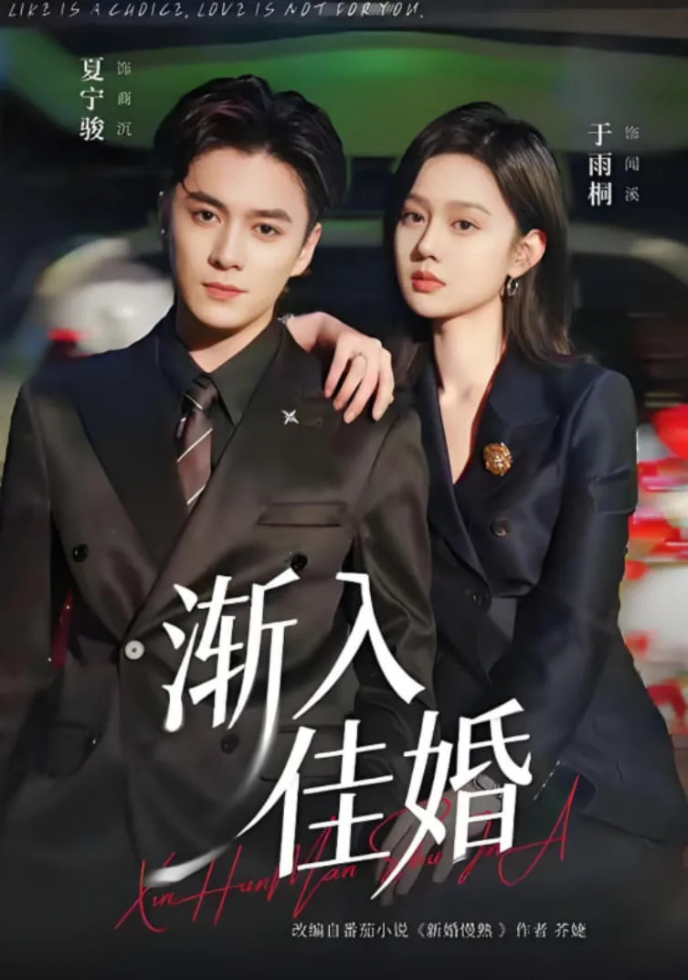 渐入佳婚海报